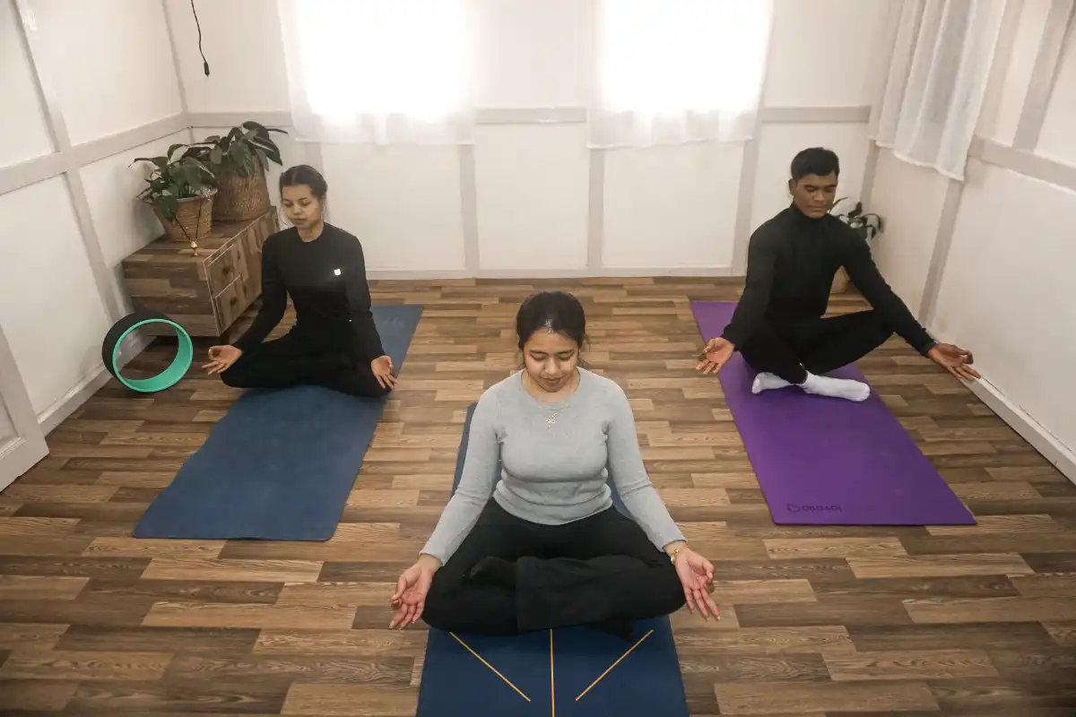Wellness in Shillong-Yoga therapies